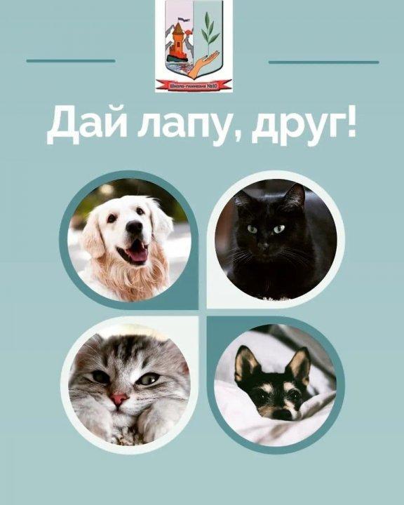 Акция "Дай лапу, друг!"